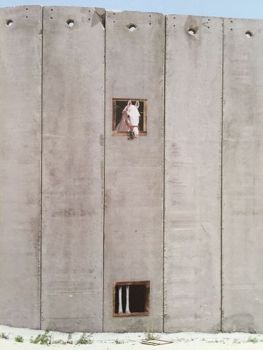 Banksy's 'The Segregation Wall 05'